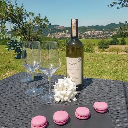 Bed & Breakfast Vista Sul Gavi