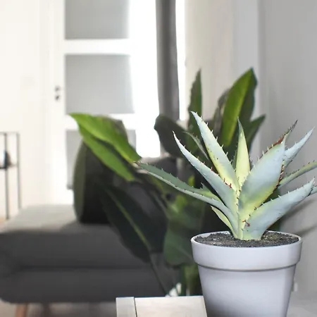 Vista Sul Bed & Breakfast 3*