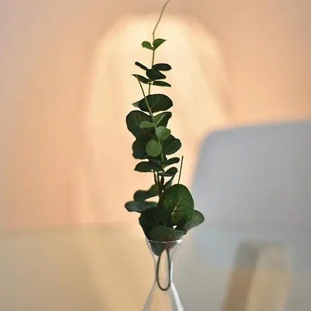 Bed & Breakfast Vista Sul Gavi